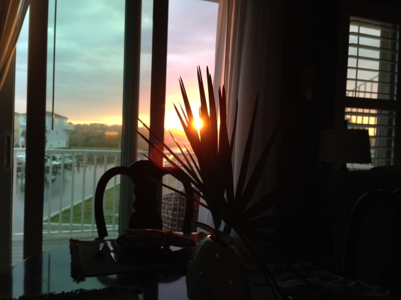 Sunset through a palm leaf.