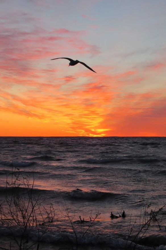 And, of course, those Mackinac sunrises just keep on getting better and better!  (Photo: Clark Bloswick)