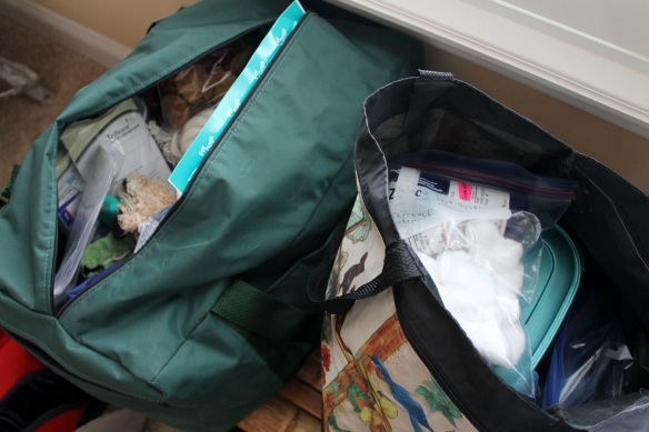 Even Maddie and Bear have the type types of luggage - big green bag (destination-full of toys, meds, brushes, etc.).  Small tote (trip up-full of dogfood and bowls)