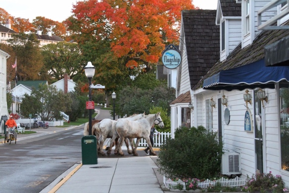 I love everything about this photograph by Jackson Pearson. Horses going to rest, fall colors, a peaceful Market Street, even a street sweeper following along behind the horses!